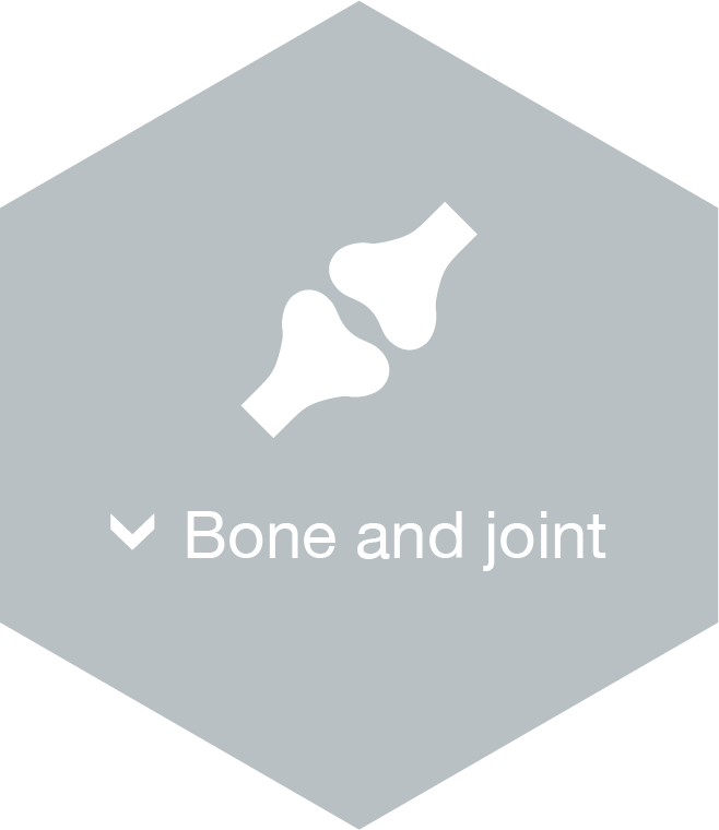Bone and joint