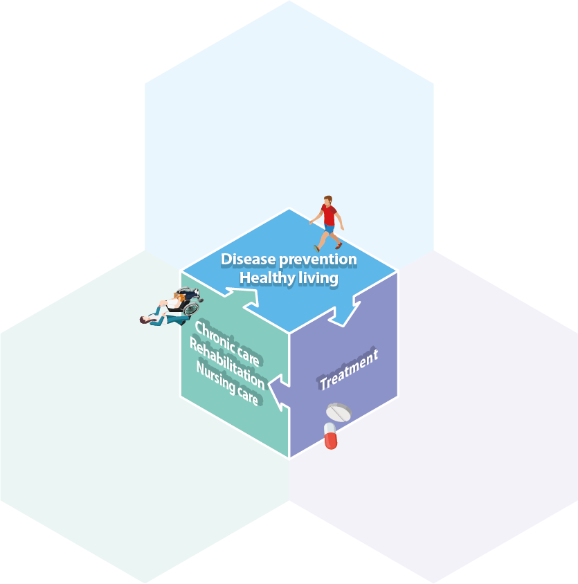 Business Fields of Teijin Pharma