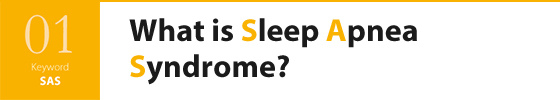 What is Sleep Apnea Syndrome?